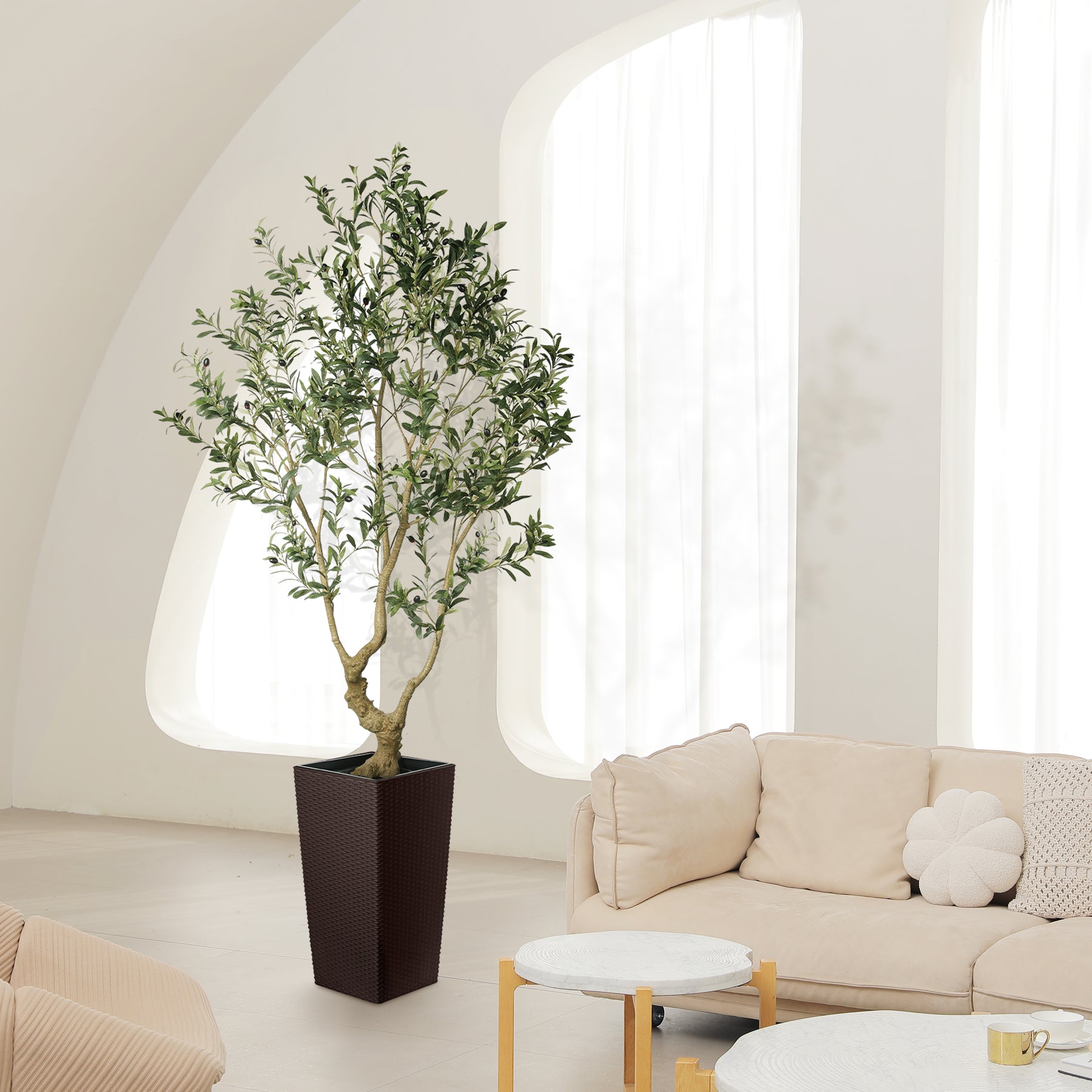 7FT Olive Trees with Tall Planter